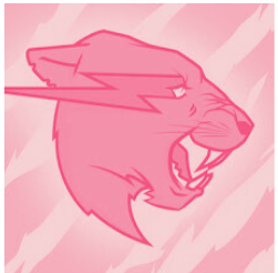 Beastboard - Mr Beast YouTube Dashboard
